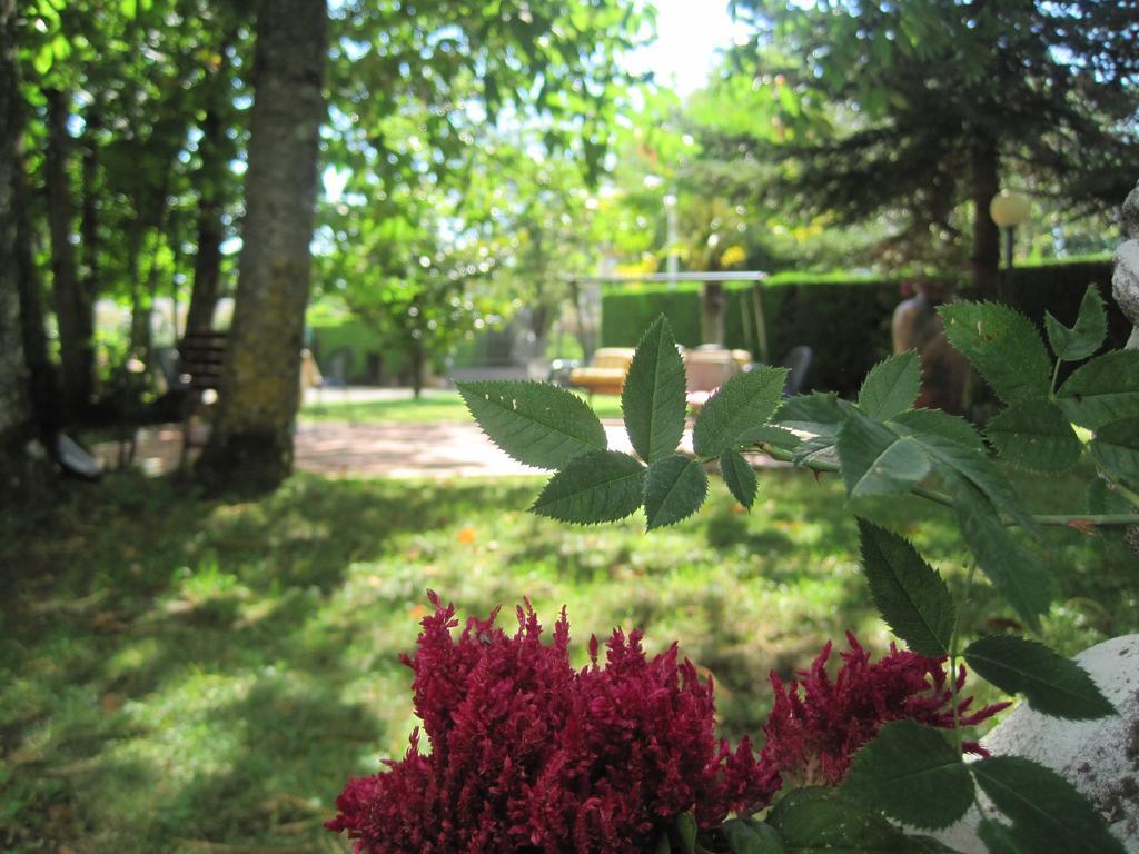 Hotel Gioia Garden Fiuggi Exterior photo